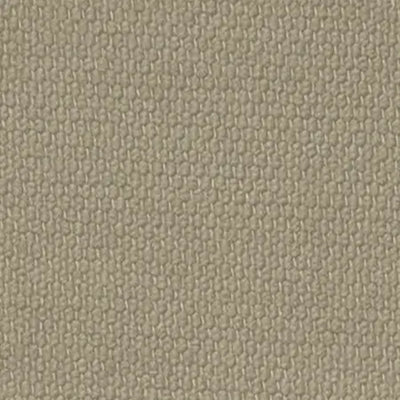 Elm cotton